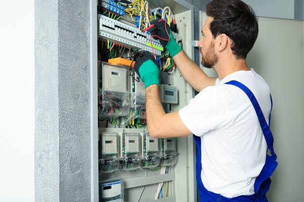 Best Electric Panel Repair  in Rising Sun Lebanon, DE